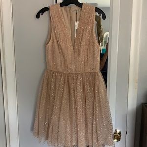 Alice and Olivia champagne dress